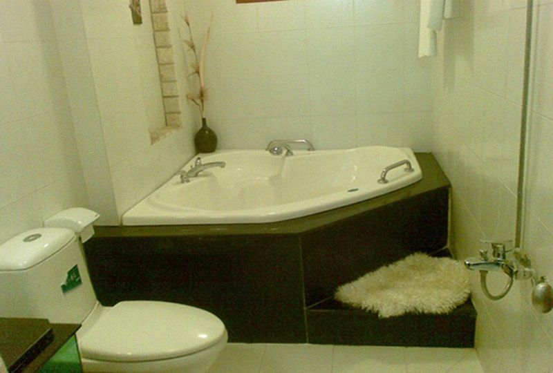 Camellia serviced apartment for rent in Thao Dien - District 2