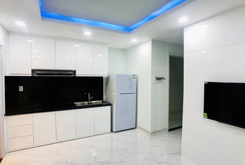 Windy serviced apartment for lease in Binh Thanh District HCMC
