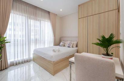 Nice studio renting in District 1 next to Tan Dinh market