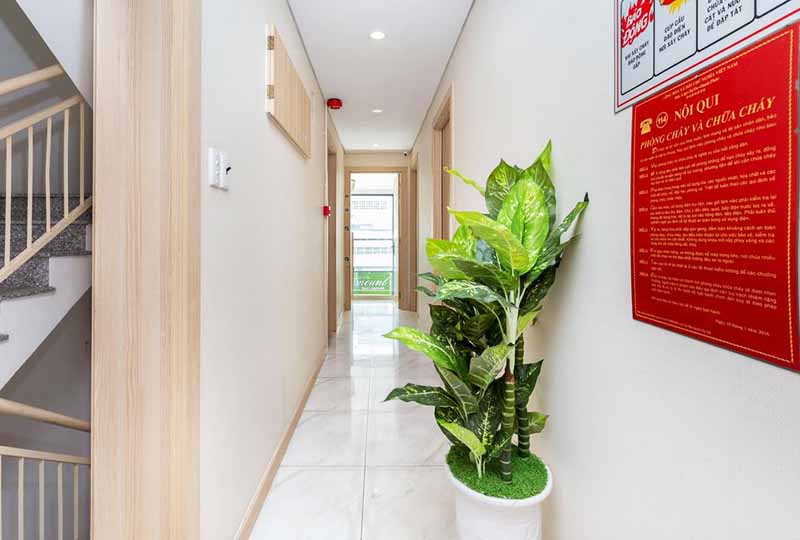 Nice studio renting in District 1 next to Tan Dinh market