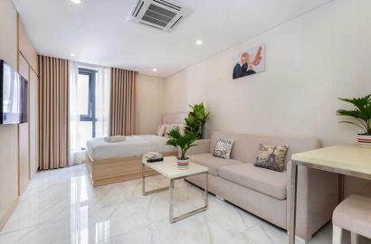 Nice flat for lease in Tan Dinh Ward District 1 Ho Chi Minh City