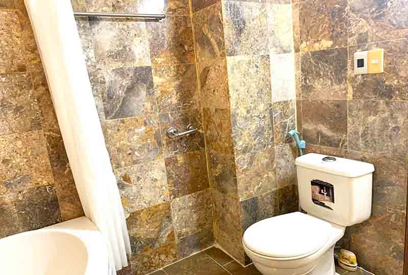 Rustic Serviced apartment for rent in Dao Kao Ward District 1