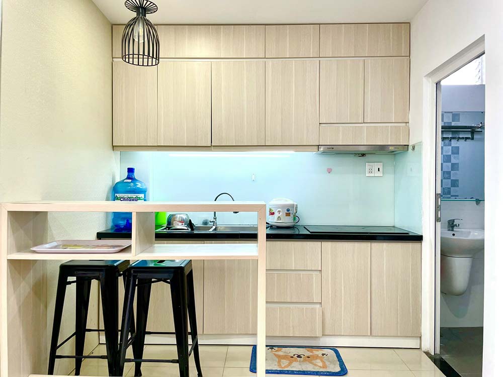 Tran Dinh Xu serviced apartment for rent in District 1 Saigon