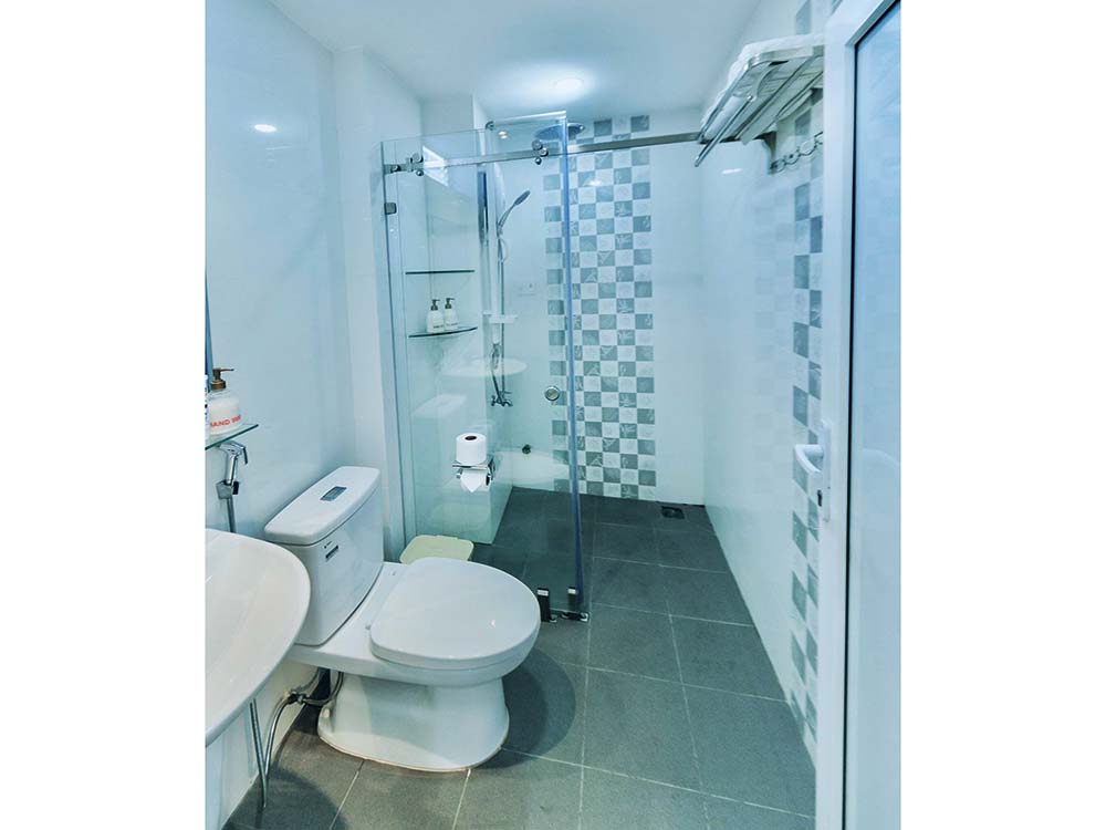Tran Dinh Xu serviced apartment for rent in District 1 Saigon