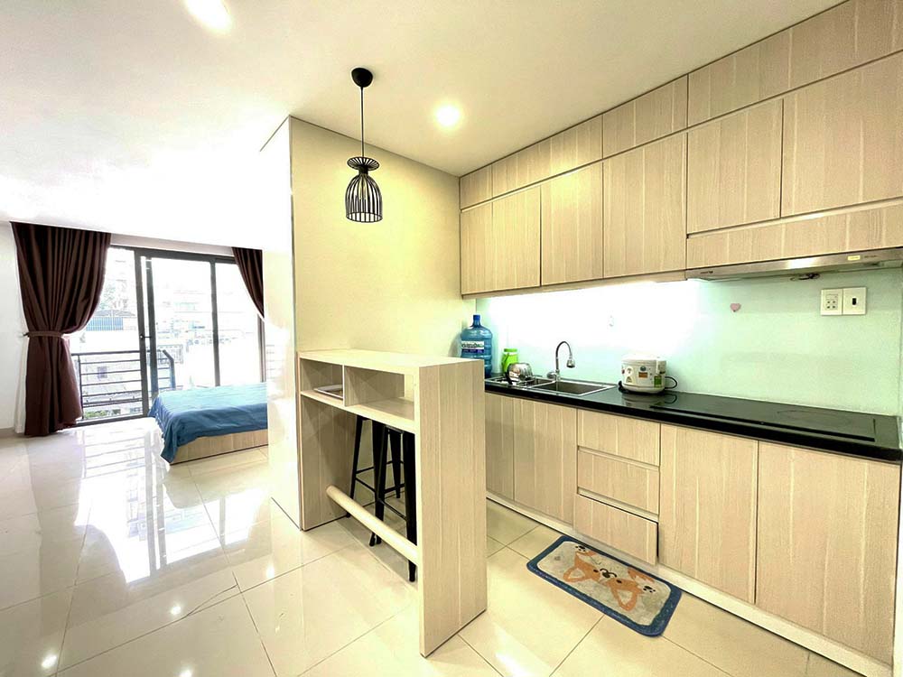 Tran Dinh Xu serviced apartment for rent in District 1 Saigon