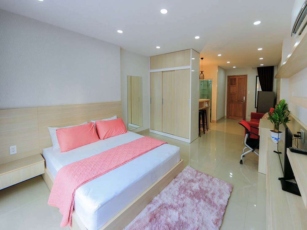 Tran Dinh Xu serviced apartment for rent in District 1 Saigon