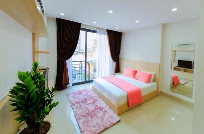 Tran Dinh Xu serviced apartment for rent in District 1 Saigon