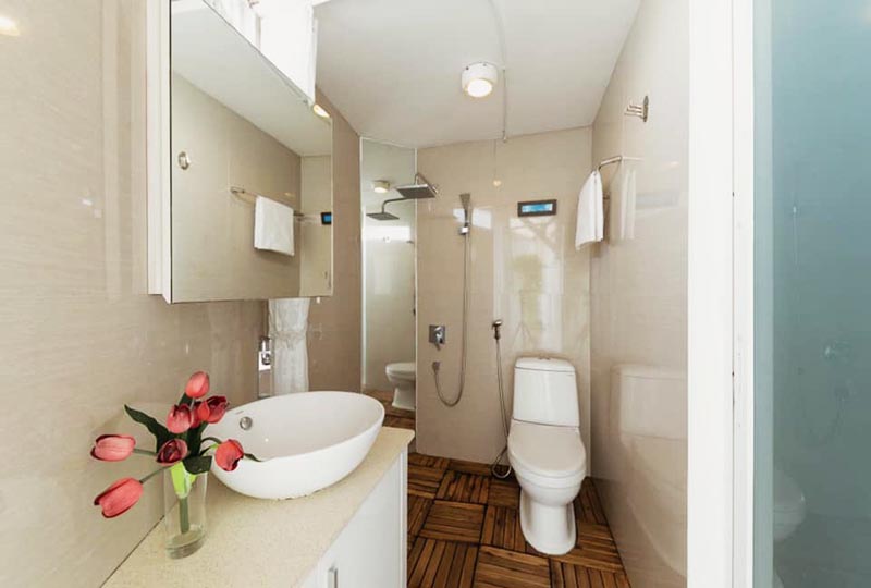 Penthouse serviced apartment for rent in Disrtict 1 Ho Chi Minh City