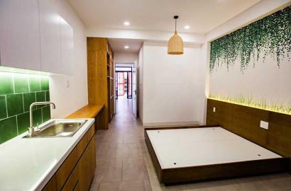 Studio for rent in District 1, Nguyen Thai Binh Street - Style 1