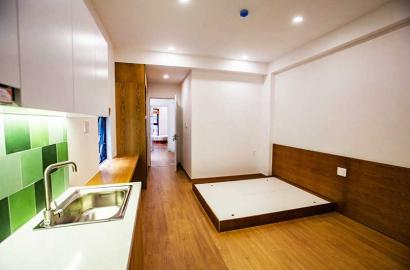 Studio apartment for rent on Nguyen Thai Binh Street, District 1 - Style 2