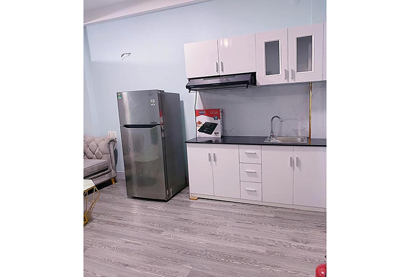 Retails serviced apartment for rent on De Tham St, District 1