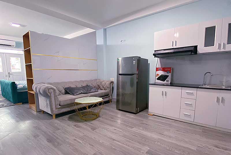 Retails serviced apartment for rent on De Tham St, District 1