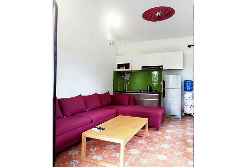 Retail serviced apartment for lease on Nguyen Dinh Chieu St, District 3