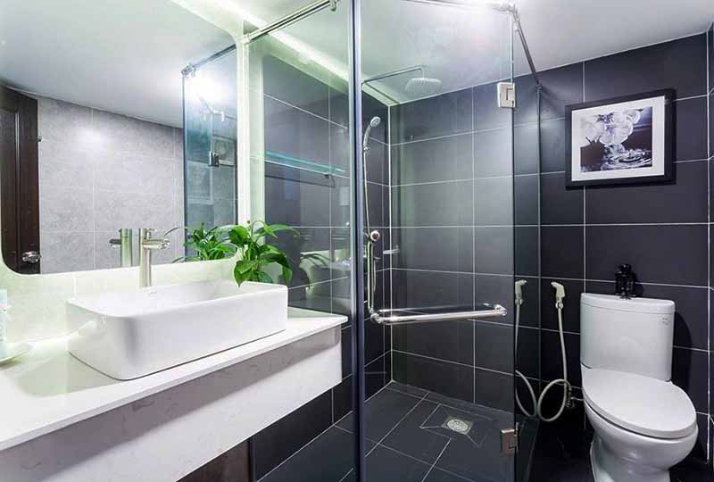 Cozy Serviced apartment renting in Binh Thanh Dist next to Saigon Zoo