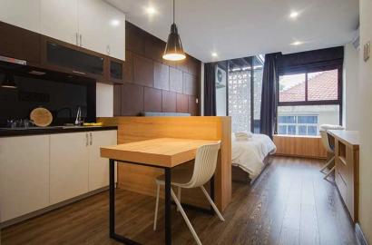 Bright serviced apartment rental in Dakao area District 1 Ho Chi Minh City