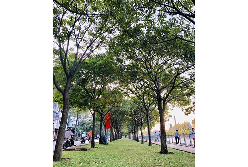 Studio rental flat with small garden in Dakao Distric 1 HCMC