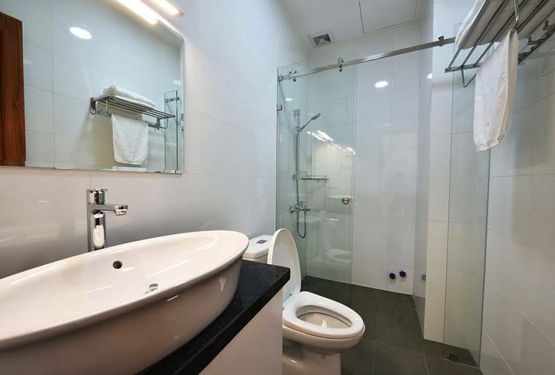 Spacious Studio serviced apartment for lease in Dakao War, District 1, HCMC