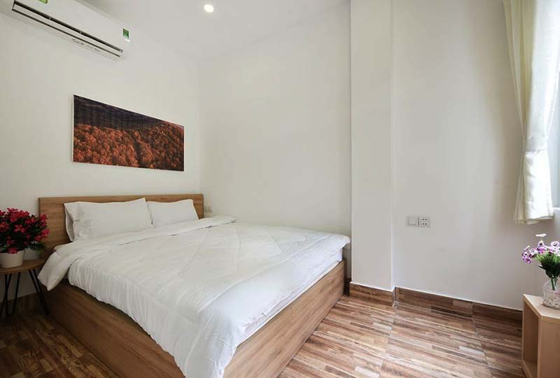 Spacious Studio serviced apartment for lease in Dakao War, District 1, HCMC