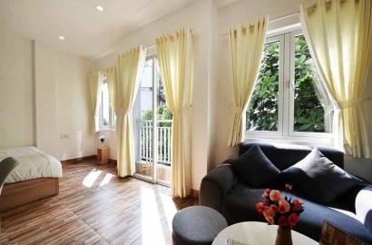 Spacious Studio serviced apartment for lease in Dakao War, District 1, HCMC