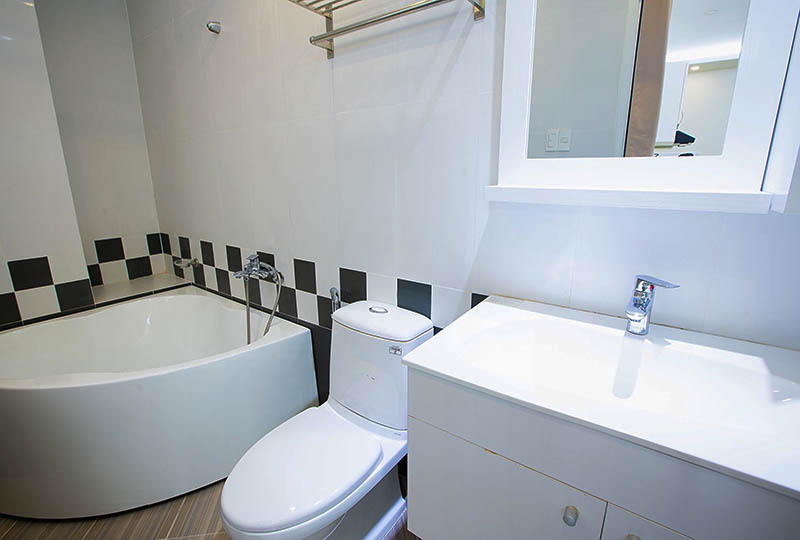 Serviced apartment for rent in Tan Dinh Ward District 1 HCMC