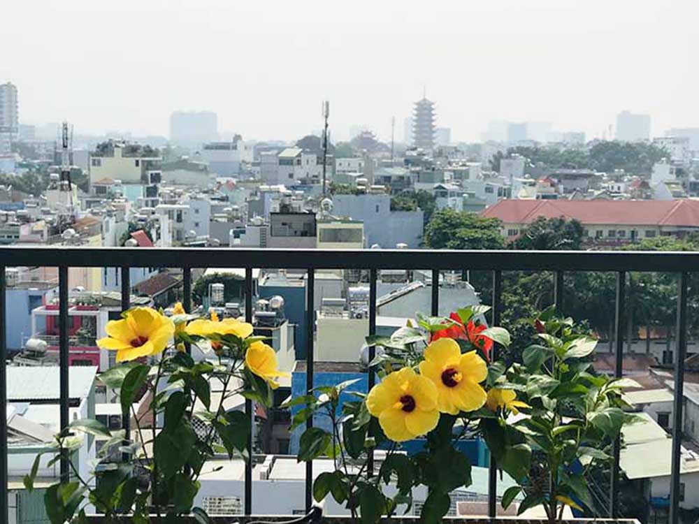 Windy serviced apartment for rent in District 10 Ho Chi Minh City