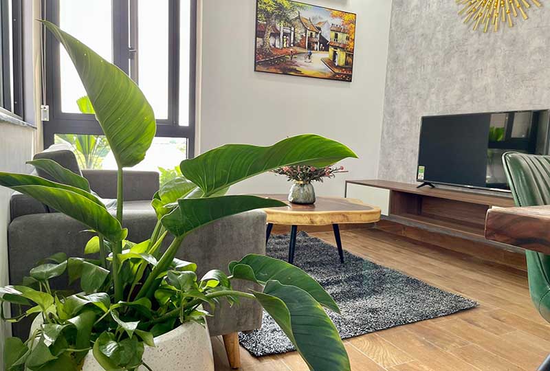 New apartment for rent in Thao Dien area come with furnished and serviced