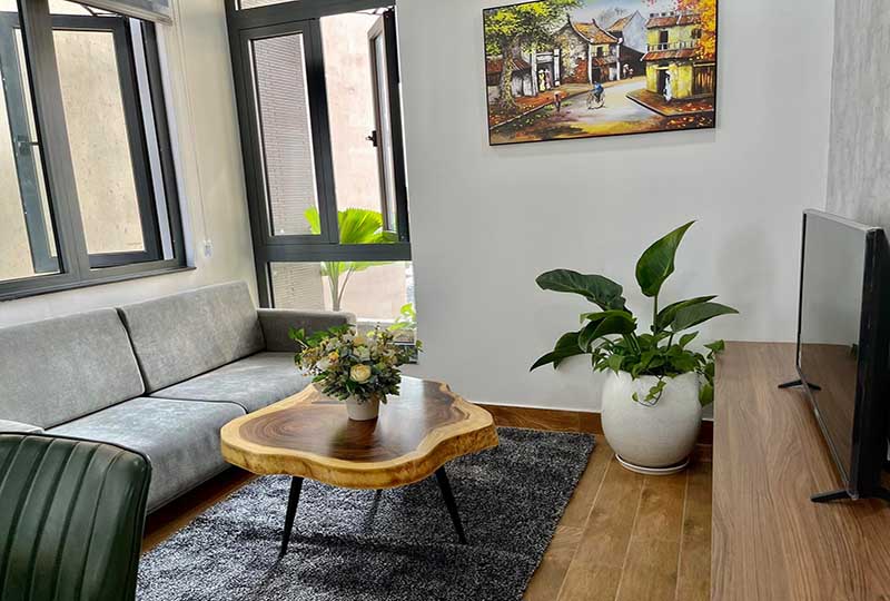 New apartment for rent in Thao Dien area come with furnished and serviced