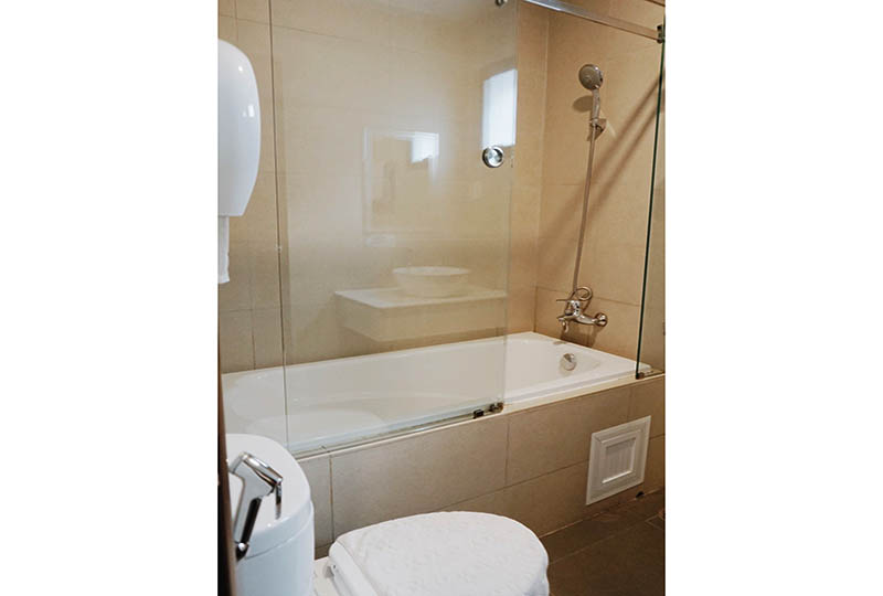 Free style studio serviced apartment for rent on Phan Ton St, District 1