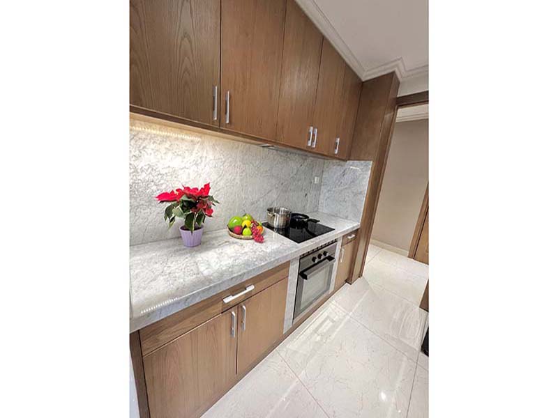Penthouse serviced apartment leasing in Thao Dien Area District 2 Thu Duc City