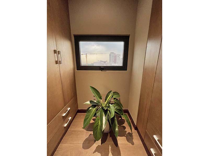 Penthouse serviced apartment leasing in Thao Dien Area District 2 Thu Duc City