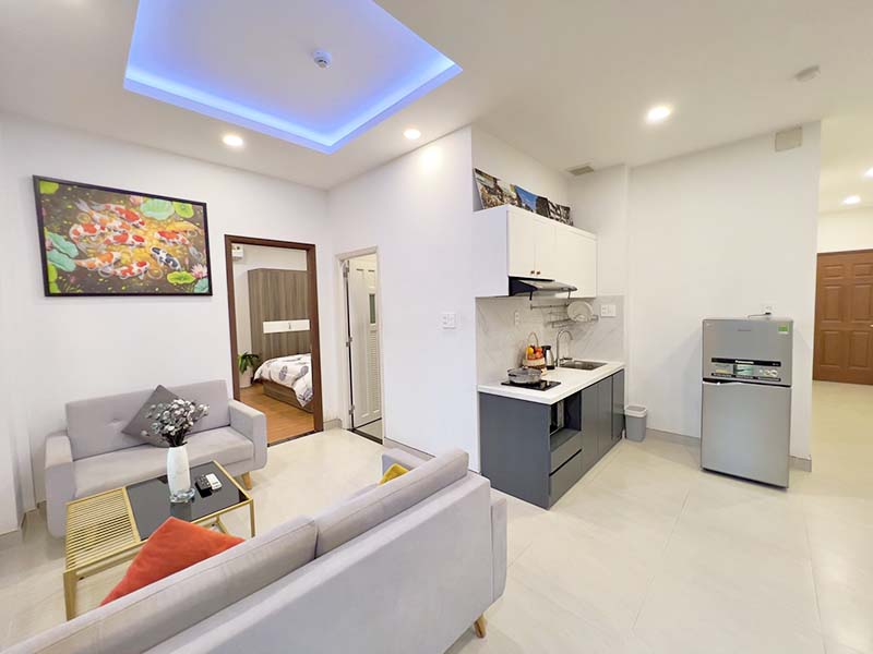 Spacious serviced apartment for rent in District 1 Ho Chi Minh City