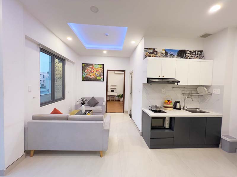 Spacious serviced apartment for rent in District 1 Ho Chi Minh City