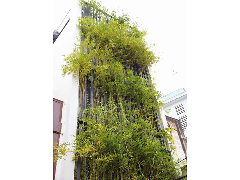 Windy serviced apartment for rent in District 1 Ho Chi Minh City