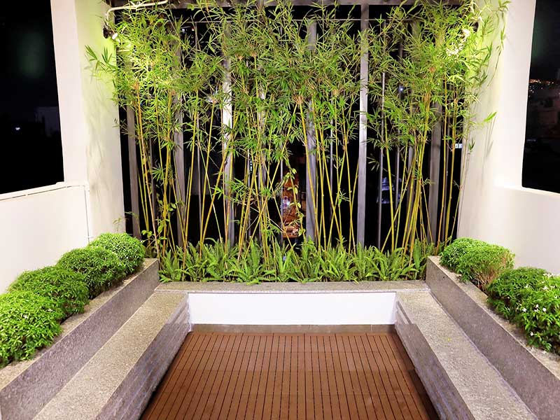 Windy serviced apartment for rent in District 1 Ho Chi Minh City