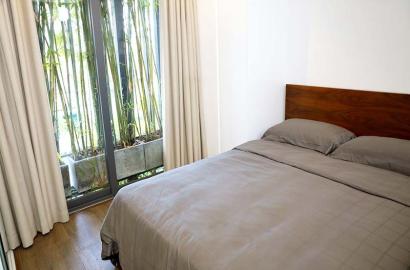 Windy serviced apartment for rent in District 1 Ho Chi Minh City