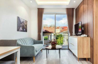 Bright concept serviced apartment renting in Phu My Hung District 7
