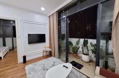 Cozy home rental on Thao Dien area District 2 Thu Duc City Saigon