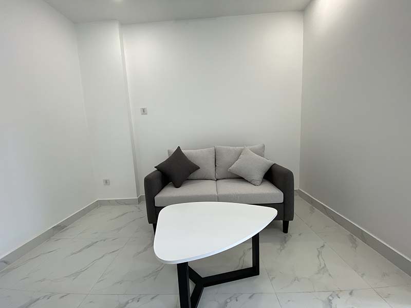 Windy serviced apartment leasing on Nguyen Trai St, District, Saigon City