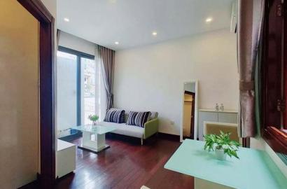 Serviced apartment for rent in District 1 Nguyen Cu Trinh Street, close by Ben Thanh Market