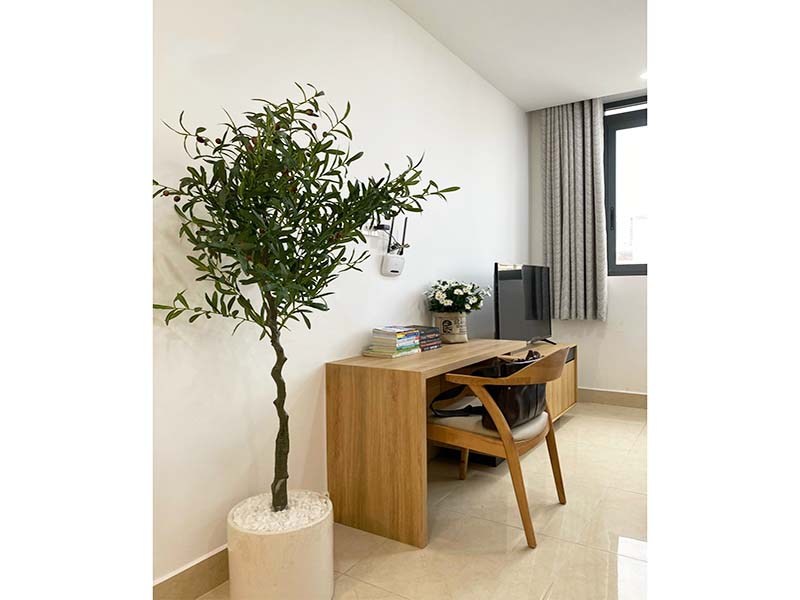 Studio flat for rent on Nguyen Ngoc Phuong St Binh Thanh District Ho Chi Minh City
