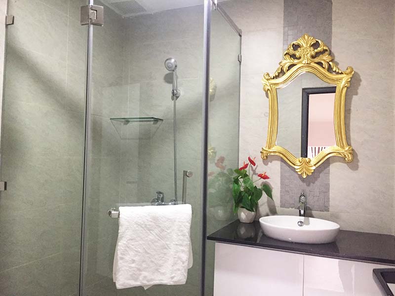 Mini penthouse apartment for rent in District 1 Nguyen Cu Trinh Street