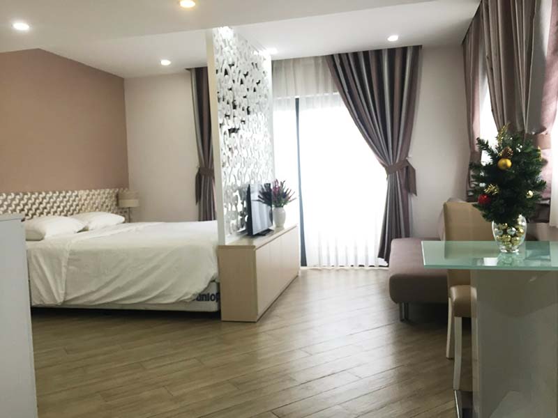 Mini penthouse apartment for rent in District 1 Nguyen Cu Trinh Street