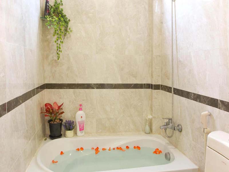 Japanese style serviced apartment for lease on Le Thanh Ton St, District 1