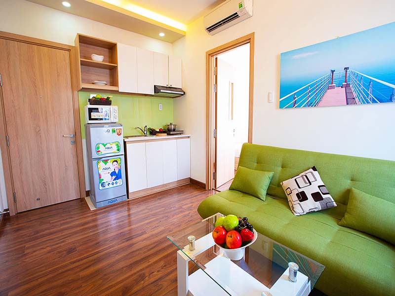 Dang Dung serviced apartment for rent in District 1 Ho Chi Minh City