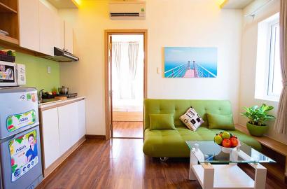Dang Dung serviced apartment for rent in District 1 Ho Chi Minh City