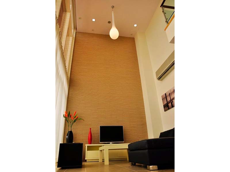 Modern villa for lease on a compound of Nguyen Van Huong St, Thao Dien, District 2