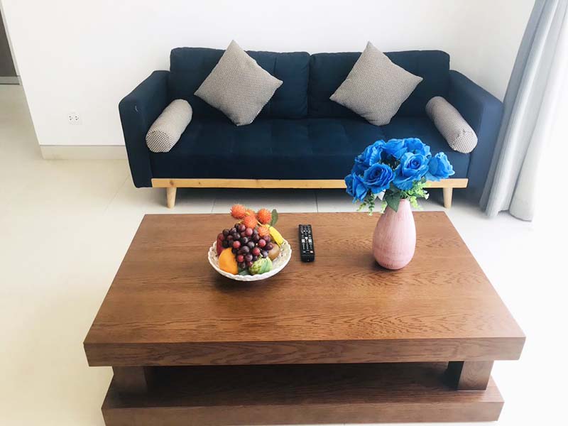 Penthouse flat for lease on Thao Dien Ward District 2 Thu Duc City
