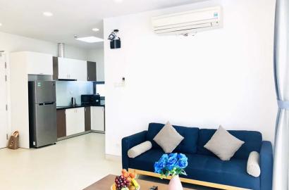 Penthouse flat for lease on Thao Dien Ward District 2 Thu Duc City