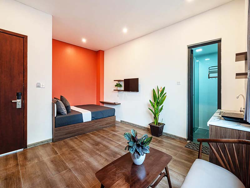 Vintage serviced concept apartment renting in Vo Van Tan Street, District 3