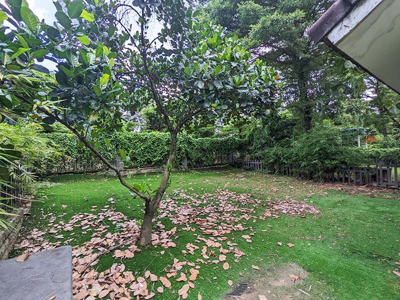 Thao Nguyen Villa Saigon for lease on District 9 Thu Duc City